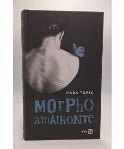 Morpho amathonte